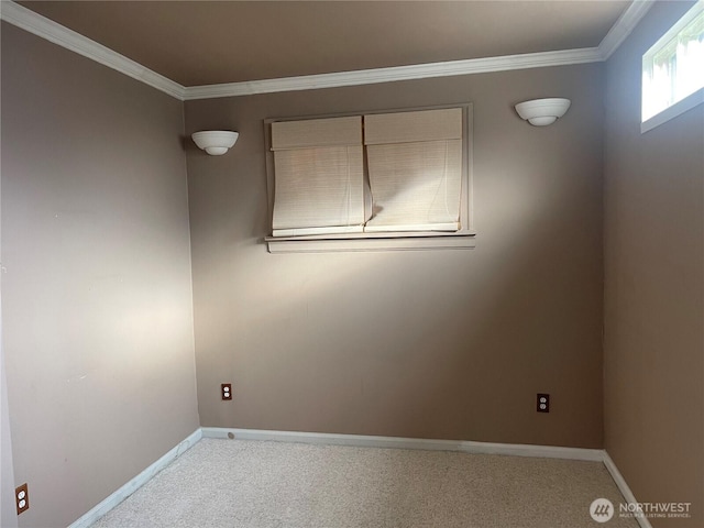 empty room with carpet floors, crown molding, and baseboards