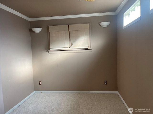 unfurnished room with ornamental molding, carpet, and baseboards