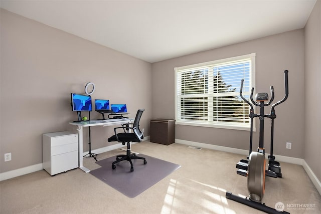 office featuring carpet and baseboards