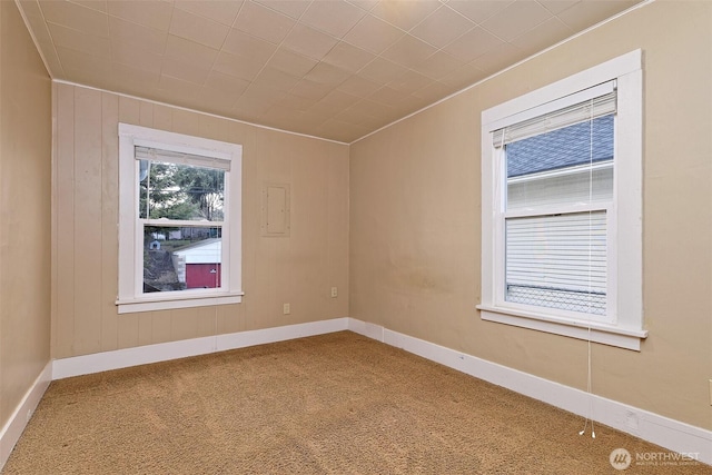 unfurnished room featuring carpet floors, wooden walls, and baseboards