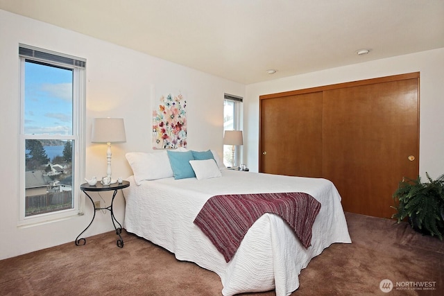 bedroom featuring a closet and carpet flooring