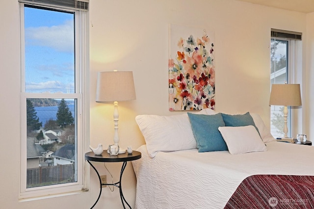 bedroom featuring multiple windows