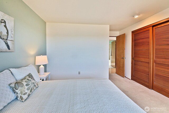 bedroom with a closet and carpet flooring