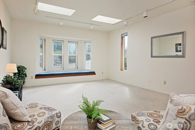 living area featuring track lighting and a skylight