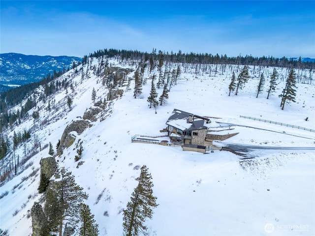 view of snowy aerial view
