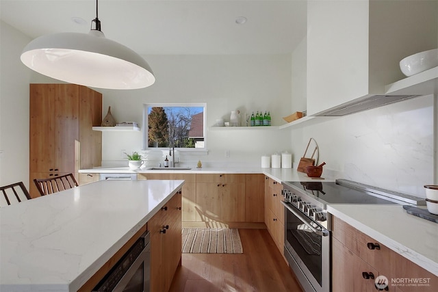 kitchen featuring open shelves, decorative backsplash, exhaust hood, stainless steel appliances, and a sink