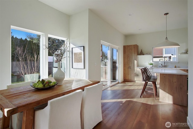 dining room featuring light wood finished floors