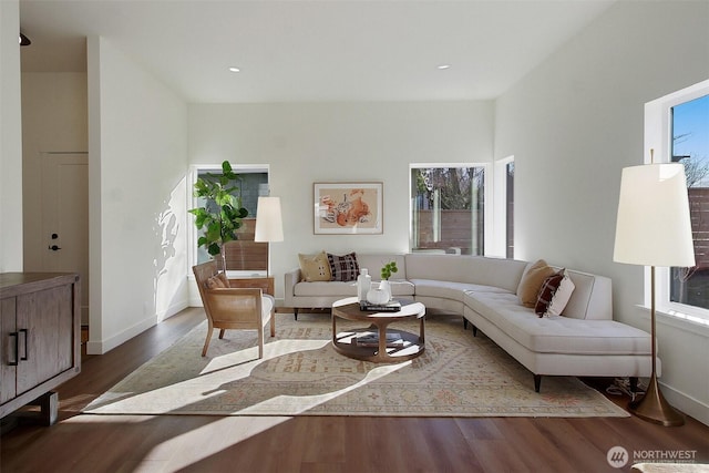 living room featuring baseboards, a healthy amount of sunlight, and wood finished floors