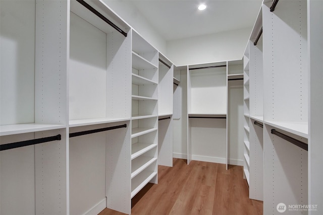 spacious closet featuring light wood finished floors