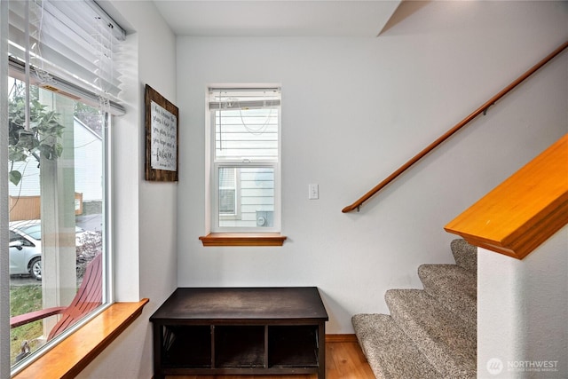 stairway featuring wood finished floors