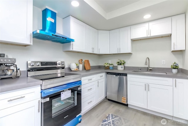 kitchen featuring a sink, stainless steel appliances, wall chimney exhaust hood, and white cabinetry