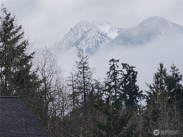 view of mountain feature