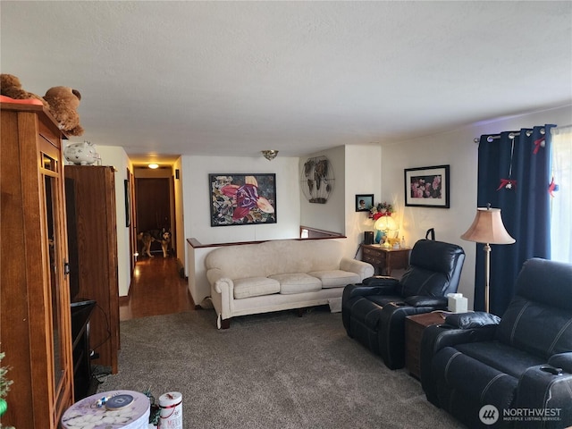 living room with carpet and a textured ceiling