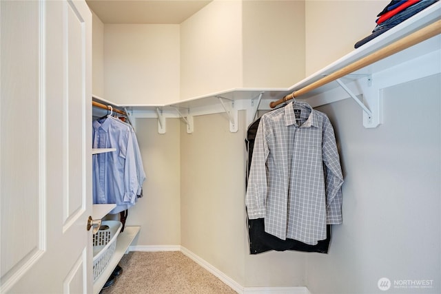 spacious closet with carpet flooring