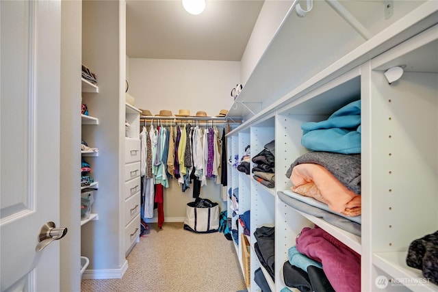 walk in closet with light carpet