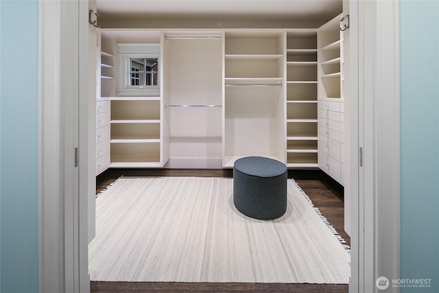 walk in closet featuring dark wood-style floors