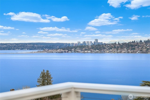 view of water feature featuring a city view