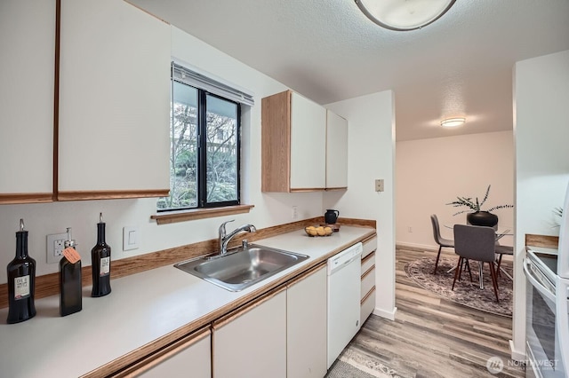 kitchen featuring light countertops, white dishwasher, a sink, and white cabinets