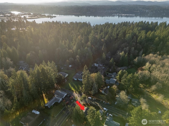 birds eye view of property with a water view and a view of trees