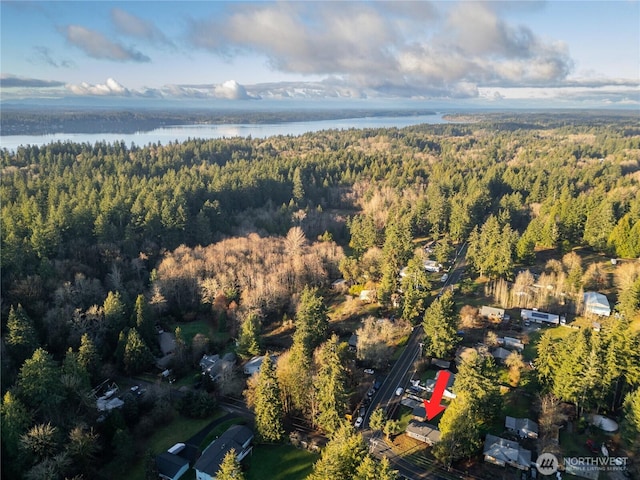 aerial view featuring a water view and a wooded view