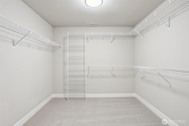 spacious closet featuring carpet and visible vents