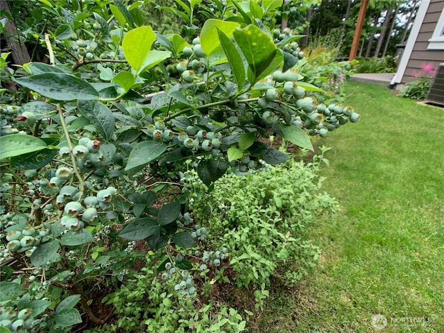 view of yard featuring central AC