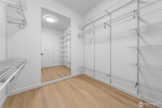 walk in closet with wood finished floors