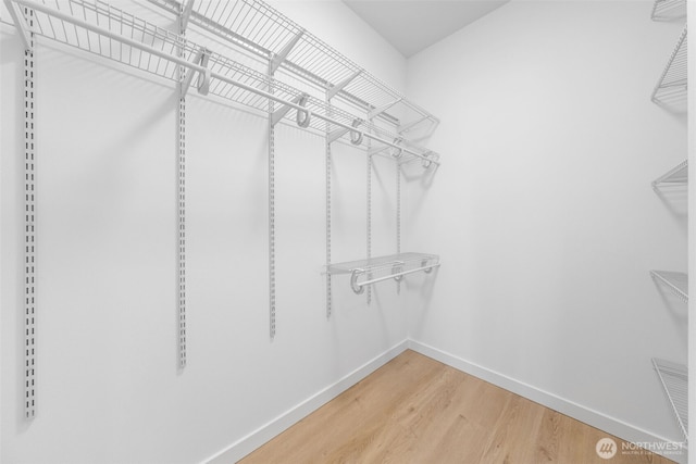 spacious closet featuring wood finished floors