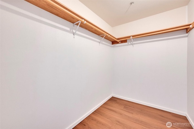 walk in closet featuring light wood-style flooring