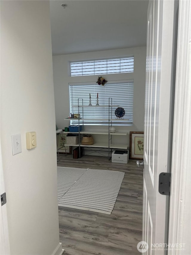 interior space with wood finished floors