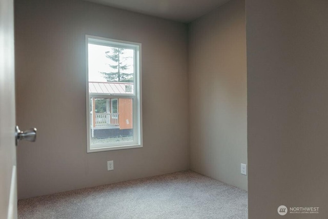 spare room featuring carpet flooring