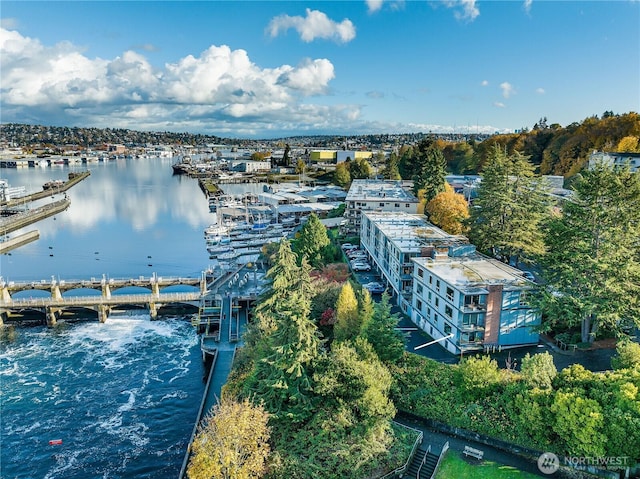 birds eye view of property featuring a water view