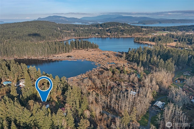 aerial view with a view of trees and a water and mountain view