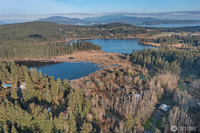 aerial view featuring a forest view and a water and mountain view