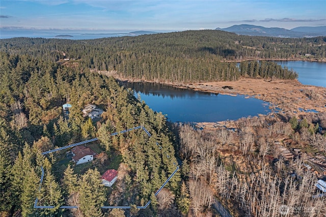 drone / aerial view with a water and mountain view and a view of trees