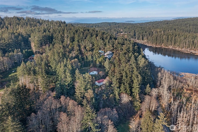 birds eye view of property featuring a water view and a forest view