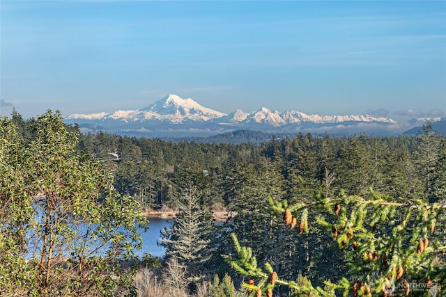 mountain view featuring a water view and a view of trees