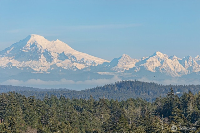 property view of mountains with a wooded view