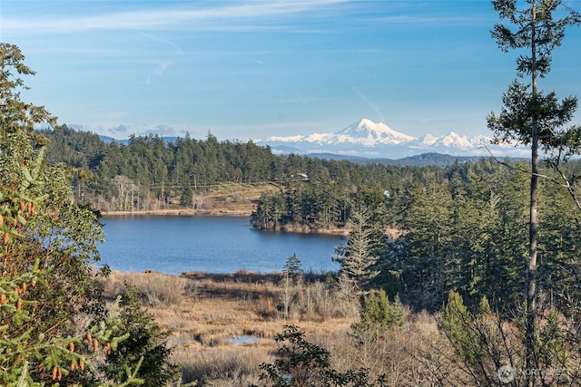 view of water feature with a forest view and a mountain view