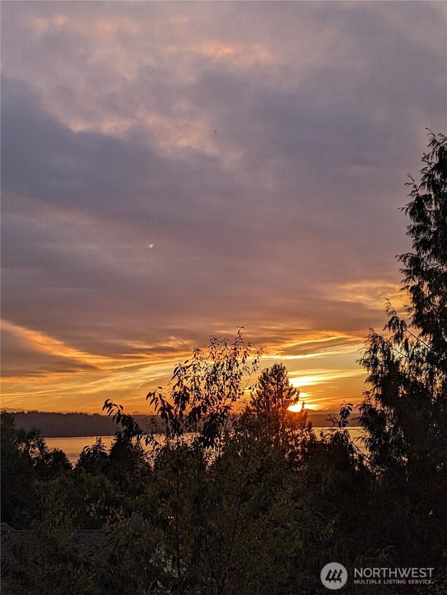 view of nature featuring a water view