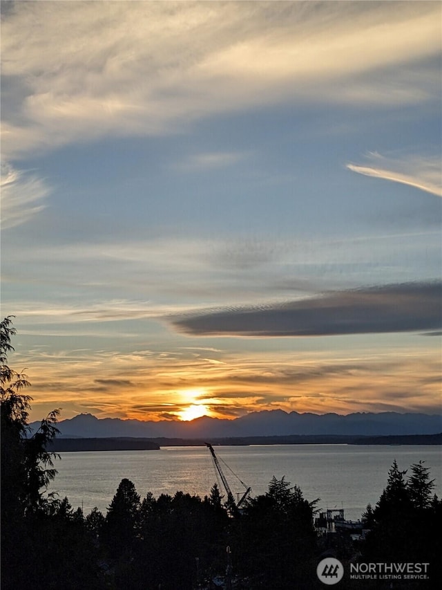 water view featuring a mountain view