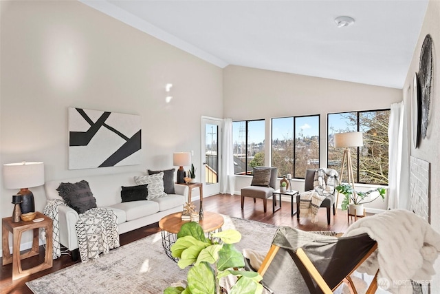 living area featuring high vaulted ceiling and wood finished floors