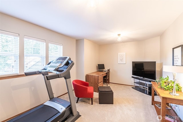 exercise room featuring light carpet