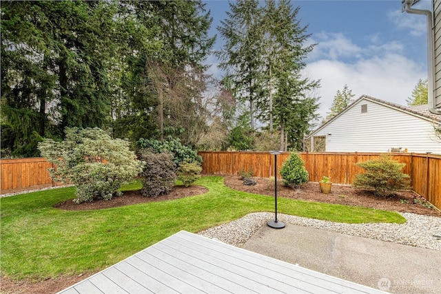 view of yard with a patio and a fenced backyard