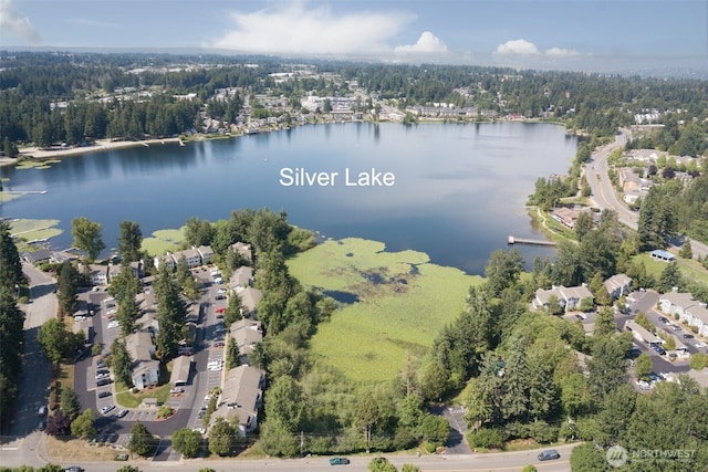 birds eye view of property featuring a water view and a forest view