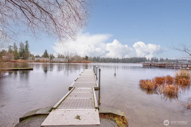 dock area featuring a water view