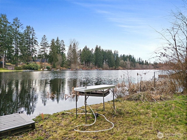 dock area with a water view