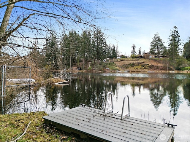 dock area featuring a water view