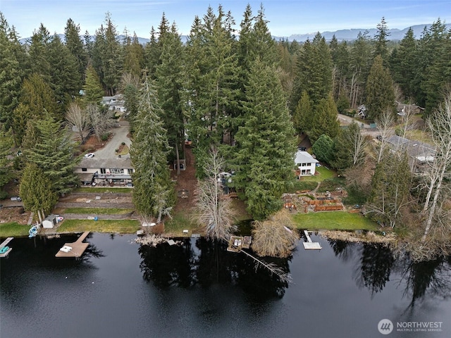 bird's eye view featuring a water view and a view of trees