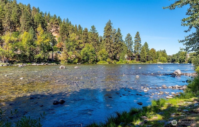 property view of water featuring a wooded view